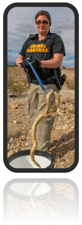 Officer with snake
